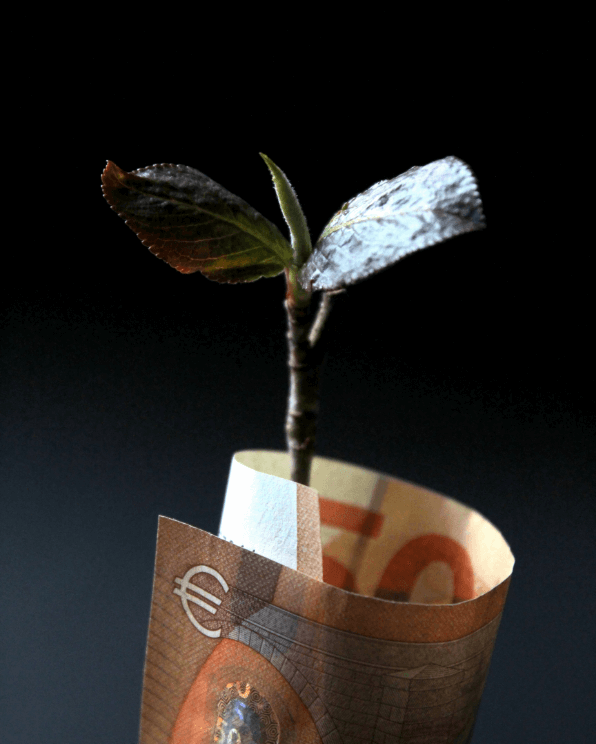 The idiocy of designing limitless economic
growth when the planet is running out of
resources